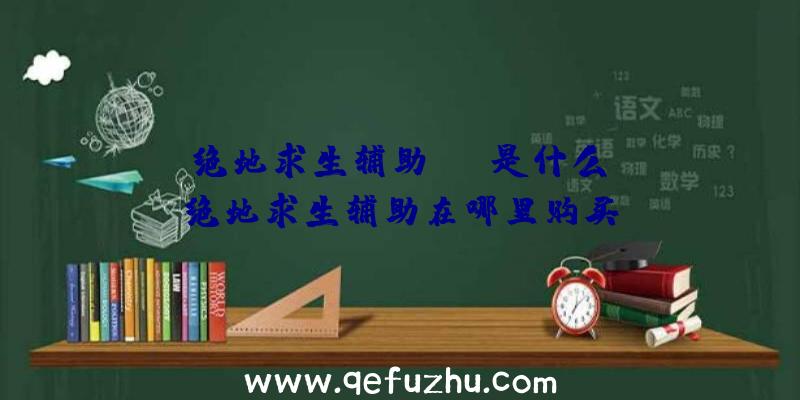 「绝地求生辅助skt是什么」|绝地求生辅助在哪里购买